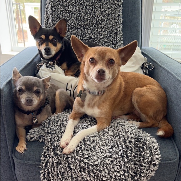 Meet your Posher, Jess - Picture 3 of 7